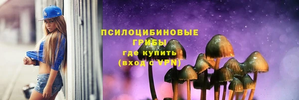 молекула духа Тутаев