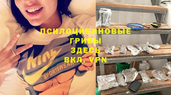 молекула духа Тутаев