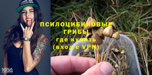 дурь Тында