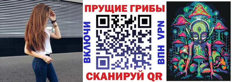 KRAKEN маркетплейс  Ядрин  Псилоцибиновые грибы ЛСД  где можно купить наркотик 