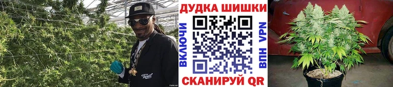 Каннабис OG Kush  Ядрин 