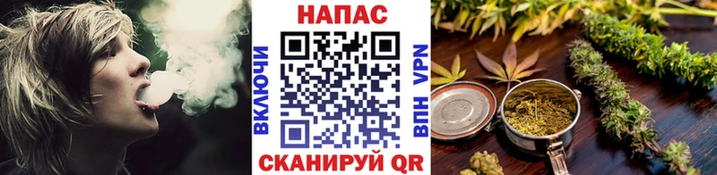 МАРИХУАНА сатива Ядрин